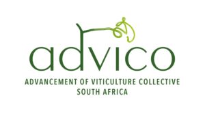 ADVICO: The Next Chapter Unfolds