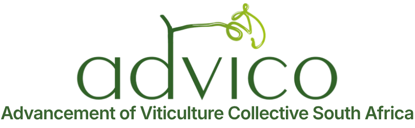 Advancement of Viticulture Collective South Africa ADVICO logo