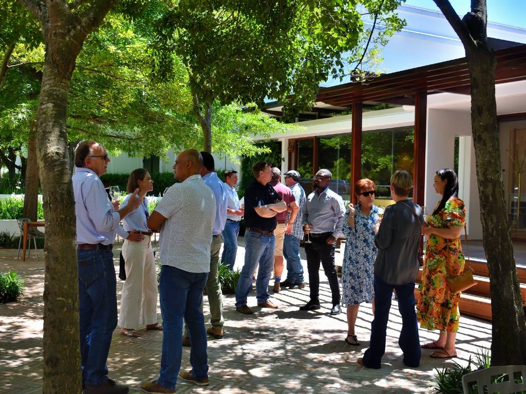 ADVICO launch