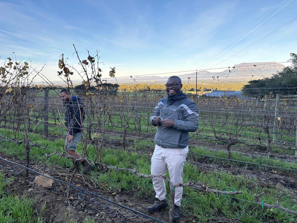 De Grendel Sauvignon Blanc Clone Demo