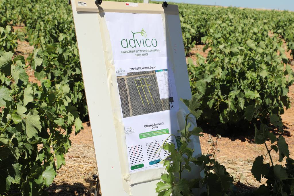 ADVICO launch