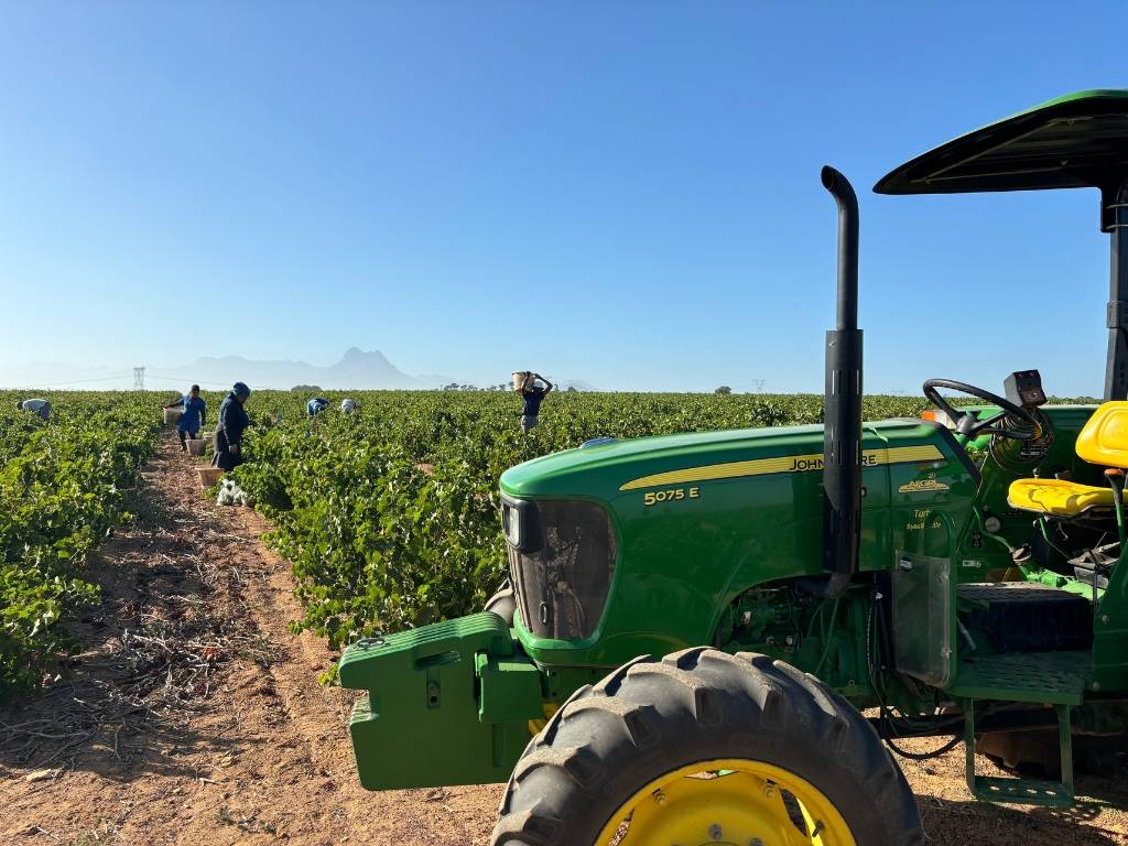 Otterkuil Chenin Blanc Rootstock Demo